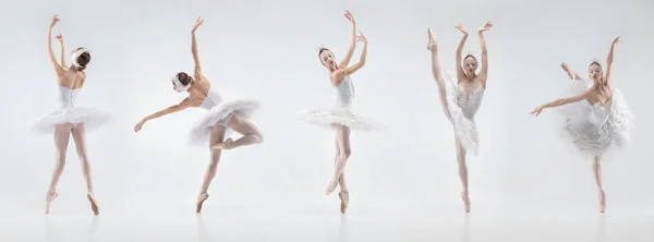 Desenvolvimento de movimentos de uma bela bailarina que dança isolada no fundo branco. Conceito de arte, teatro, beleza e criatividade — Fotografia de Stock