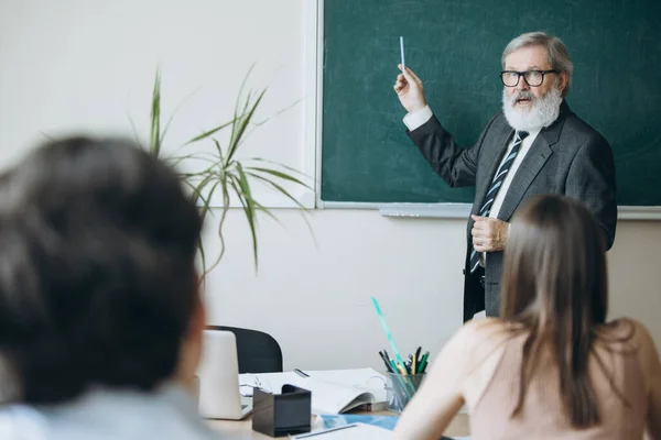 Elderly gray-headed man, professor, teacher and students at lecture, lesson at classroom, indoors. Concept of professional occupation, job, education