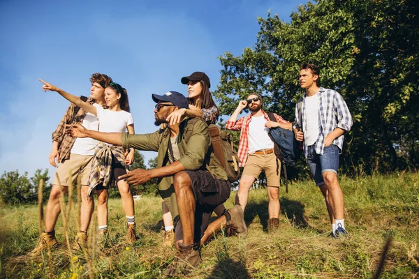 Grupo de amigos, hombres y mujeres jóvenes caminando, paseando juntos durante el picnic en el bosque de verano, prado. Estilo de vida, amistad, — Foto de Stock