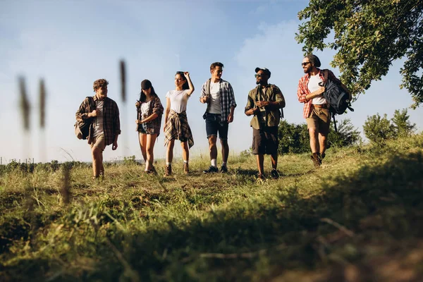 Grupo de amigos, jovens e mulheres caminhando, passeando juntos durante piquenique na floresta de verão, prado. Estilo de vida, amizade, — Fotografia de Stock