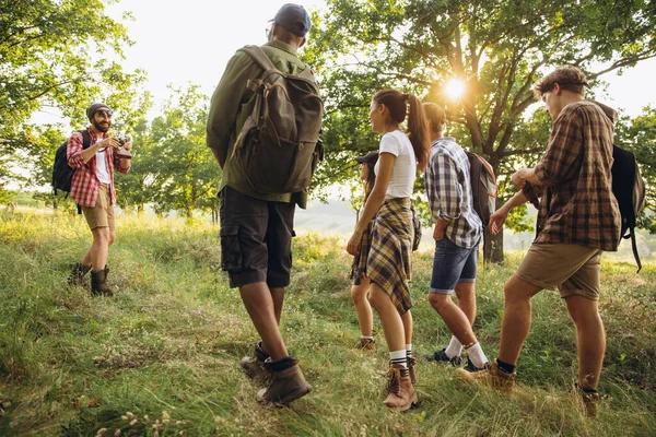 Group of friends, young men and women walking, strolling together during picnic in summer forest, meadow. Lifestyle, friendship — Stock Photo, Image