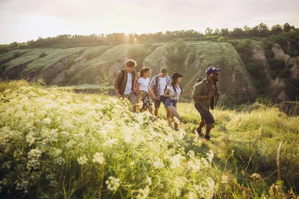 Grupo de amigos, hombres y mujeres jóvenes caminando, paseando juntos durante el picnic en el bosque de verano, prado. Estilo de vida, amistad — Foto de Stock