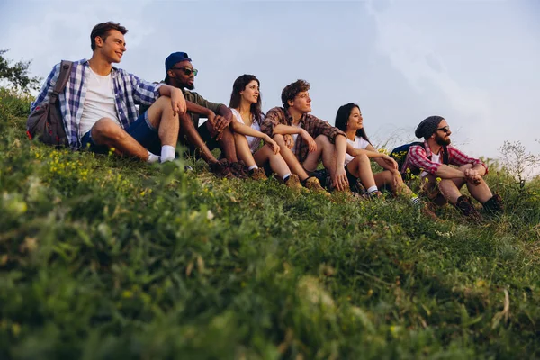 Conoce el atardecer. Grupo de amigos, hombres y mujeres jóvenes caminando, paseando juntos durante el picnic en el bosque de verano, prado. Estilo de vida, amistad, — Foto de Stock