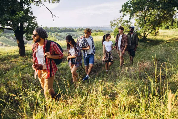 Grupo de amigos, hombres y mujeres jóvenes caminando, paseando juntos durante el picnic en el bosque de verano, prado. Estilo de vida, amistad, —  Fotos de Stock