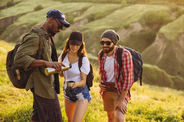 Grupo de amigos, hombres y mujeres jóvenes caminando, paseando juntos en el bosque de verano, prado. Estilo de vida activo, amistad, concepto de viaje — Foto de Stock