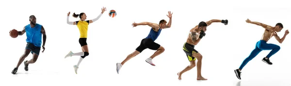 Sportkollage. Basket, fitness, löpning, boxning, volleyboll spelare poserar isolerad på vit studio bakgrund. Passande afrikanska och kaukasiska män och kvinnor — Stockfoto