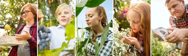 Młoda i szczęśliwa para farmerów w słoneczny dzień w ogrodzie. Mężczyzna i kobieta zajmujący się uprawą ekologicznych produktów. — Zdjęcie stockowe