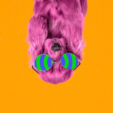 Modern tasarım, çağdaş sanat kolajı ve gözlüklü sevimli bir köpek. İlham verici sanat, hayvanlar, hayvanlar, stil ve moda kavramı.