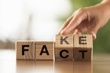 Tahta küpler, kelimenin sahte olduğu bloklar. İnsan hakları, eğitim, sosyal konular, zihinsel sağlık, eğitim ve kişisel gelişim hakkındaki kavramsal imaj.