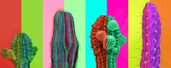 Collage d'art contemporain. Des couleurs vives lumineuses. Composition horizontale avec cactus multicolores, cactus isolés sur fond coloré — Photo