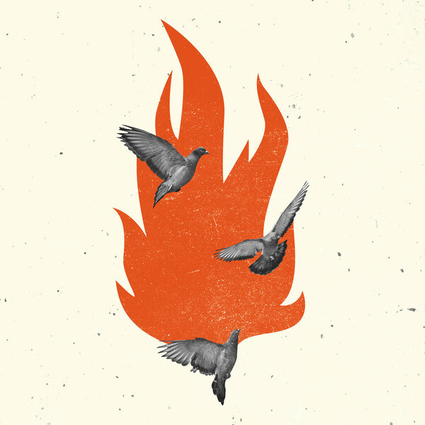 Коллаж современного искусства, современный креативный дизайн. Идея, вдохновение, спасение окружающей среды, забота об окружающей среде, экология. Птицы и огонь