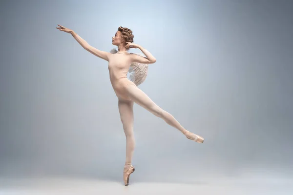 Młoda i pełna wdzięku tancerka baletowa, balerina tańcząca na białym szarym tle studia. Sztuka, ruch, działanie, elastyczność, koncepcja inspiracji. — Zdjęcie stockowe