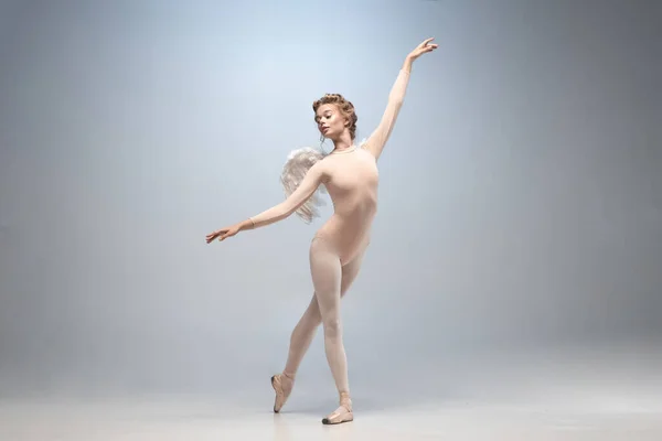 年轻而优雅的芭蕾舞演员,芭蕾舞演员在白色的灰色工作室背景下独自跳舞.艺术、运动、动作、灵活性、灵感概念. — 图库照片