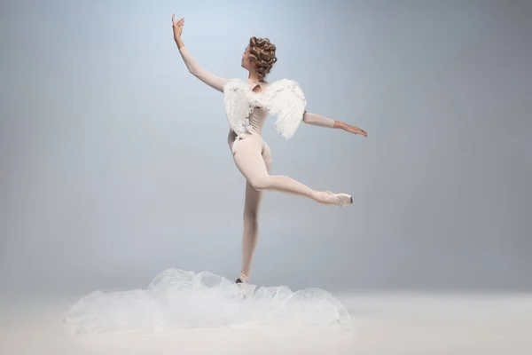 Pełnowymiarowy portret pięknej, pełnej wdzięku baleriny tańczącej w obrazie anioła ze skrzydłami odizolowanymi na szarym tle pracowni. Sztuka, ruch, działanie, elastyczność, koncepcja inspiracji. — Zdjęcie stockowe