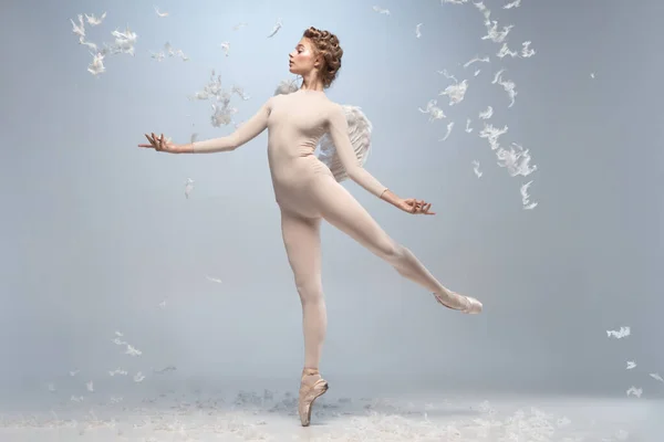 Retrato completo de bela bailarina graciosa dançando na imagem de anjo com asas isoladas em fundo de estúdio cinza. Arte, movimento, ação, flexibilidade, conceito de inspiração. — Fotografia de Stock