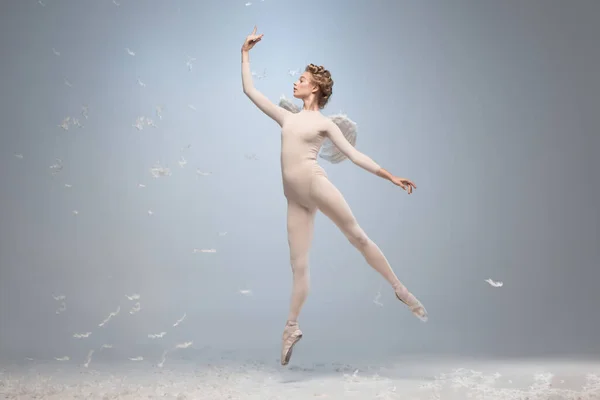 Retrato completo de bela bailarina graciosa dançando na imagem de anjo com asas isoladas em fundo de estúdio cinza. Arte, movimento, ação, flexibilidade, conceito de inspiração. — Fotografia de Stock