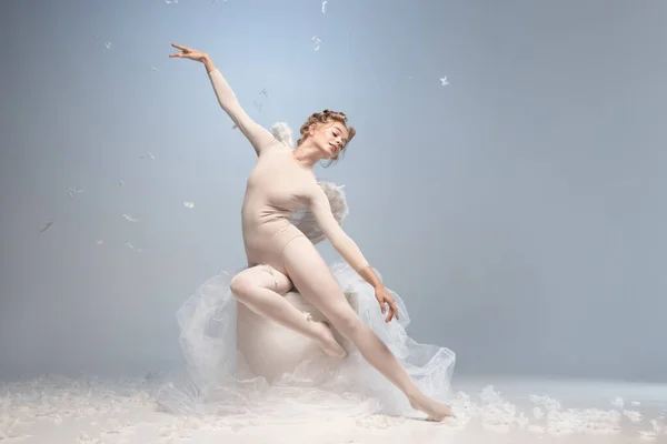 Krásná mladá dívka, půvabná baletka v obrazu anděla s křídly sedícími na mraku izolovaném na bílém šedém pozadí studia. Umění, show, balet, krása, inspirace. — Stock fotografie