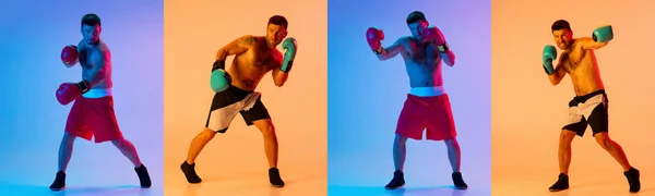 Sport collage. Jongeman, professionele bokser in actie training geïsoleerd over geel paarse studio achtergrond in neon licht. Een flyer. Begrip sport, concurrentie — Stockfoto