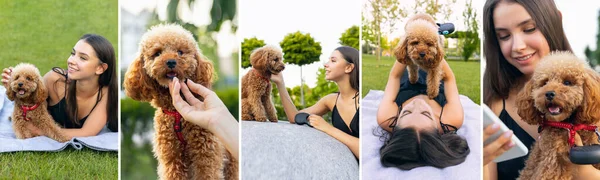 Chica joven paseando con perrito caniche de oro en el parque público, al aire libre. Hora de verano. Emociones sinceras. Actividades de ocio, concepto de estilo de vida saludable — Foto de Stock