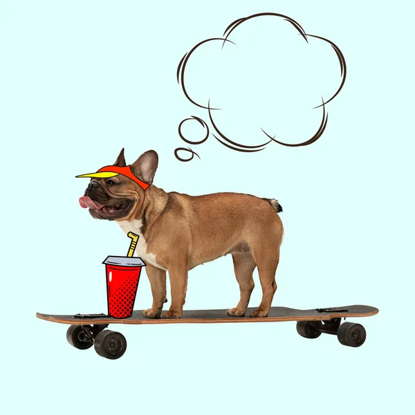 Çağdaş sanat eserleri, kavramsal kolaj. Şirin, komik bir köpek, Fransız bulldog, arka planda izole bir şekilde uzun tahtanın üzerinde duruyor.. — Stok fotoğraf