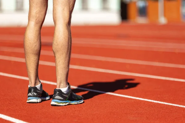 Cropped image of male athlete, runner training at public stadium, sport court or running track outdoors. Summer sport games. Mans legs — Stock Photo, Image
