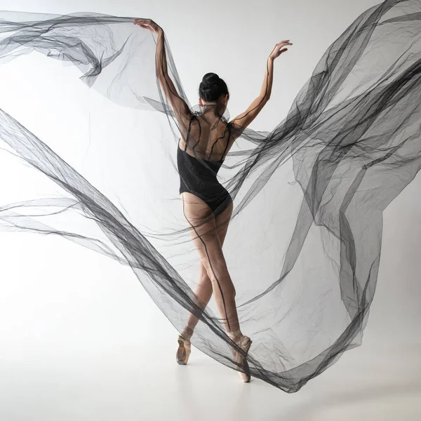 Ritratto di giovane adorabile ballerina giapponese che balla con tessuto trasparente, ragnatela nera isolata su sfondo grigio chiaro da studio. Bellezza, line art, concetto di emozioni. — Foto Stock