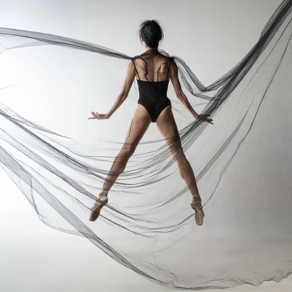 Portret młodej uroczej japońskiej baleriny tańczącej z transarentną tkaniną, czarna pajęczyna odizolowana na jasnoszarym tle studia. Piękno, sztuka linii, koncepcja emocji. — Zdjęcie stockowe