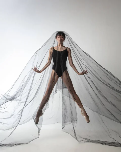 年轻可爱的日本芭蕾舞演员的肖像，与透平面料，黑色蜘蛛网隔离在浅灰工作室背景。美，线条艺术，情感概念. — 图库照片