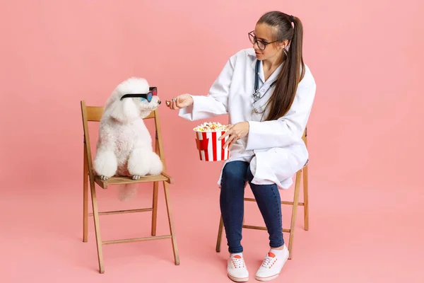 Retrato conceptual de una joven hermosa mujer, veterinaria con perro caniche blanco aislado sobre fondo de estudio rosa. Cuidado de mascotas, animal en la vida cotidiana humana. — Foto de Stock