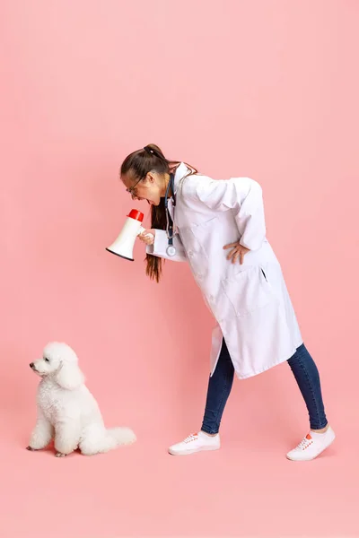 Konceptuellt porträtt av ung vacker kvinna, veterinär med vit pudel hund isolerad över rosa studio bakgrund. Djurskötsel, djur i människans vardag. — Stockfoto