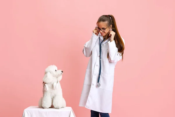 Portrait conceptuel de jeune belle femme, vétérinaire avec chien caniche blanc isolé sur fond de studio rose. Soins des animaux de compagnie, animal dans la vie quotidienne humaine. — Photo