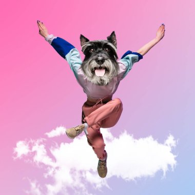 Sanat kolajı. Genç kadın, hip hop dansçısı köpeklerin baş dansçısı, arka planda izole edilmiş. İlham, fikir, sokak dansı tarzı.