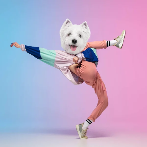 Colagem de arte. Mulher jovem, dançarina de hip hop encabeçada de cães cabeça dançando isolado sobre fundo gradiente. Inspiração, ideia, estilo de dança de rua. — Fotografia de Stock