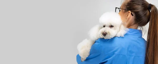 Amizade. Mulher bonita nova, veterinária, groomer cuida do cão poodle branco doce. Medicina, cuidados com os animais, conceito de estilo de vida saudável. — Fotografia de Stock
