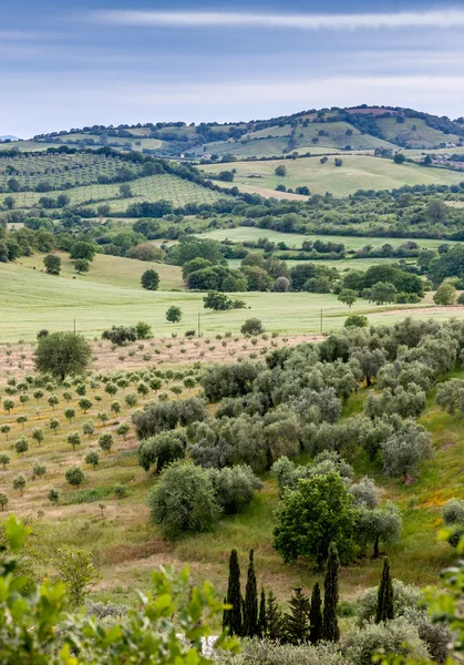 Typical Tuscan landscape  in Italy — Stock Photo, Image