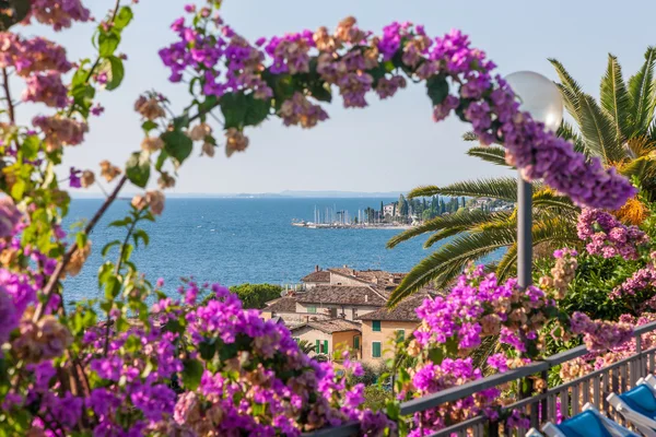 Floração Árvore Contra Céu Azul Profundo Férias Fantásticas Garda Itália — Fotografia de Stock