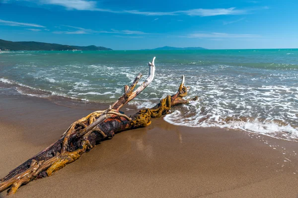 砂海の青い水の背景に暗礁します — ストック写真