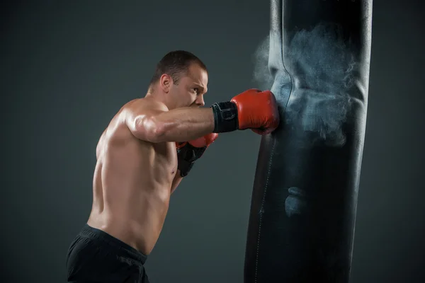 Jovem lutador Boxer — Fotografia de Stock