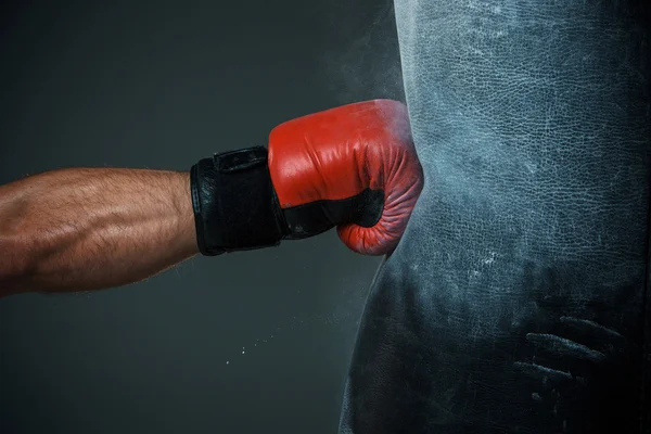 Boxing training and Punching bag Royalty Free Stock Photos