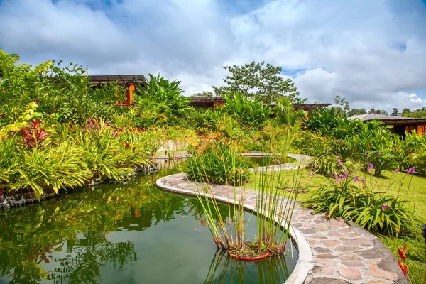 Garden with various tropical plants and flower — Stock Photo, Image