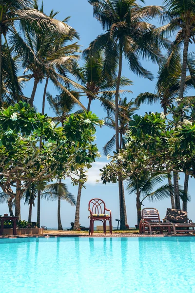 Swimming pool, palm trees and blue sky — Stock Photo, Image