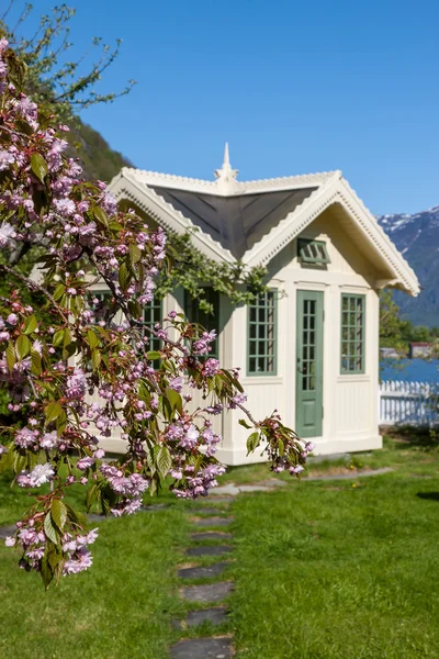 Paisajes escénicos de los fiordos noruegos . — Foto de Stock