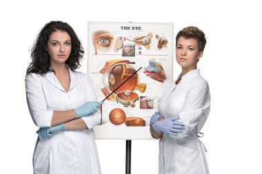 two optician or oculist women telling about structure of the eye