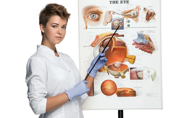 Optician or oculist woman tells about structure of the eye — Stock Photo, Image