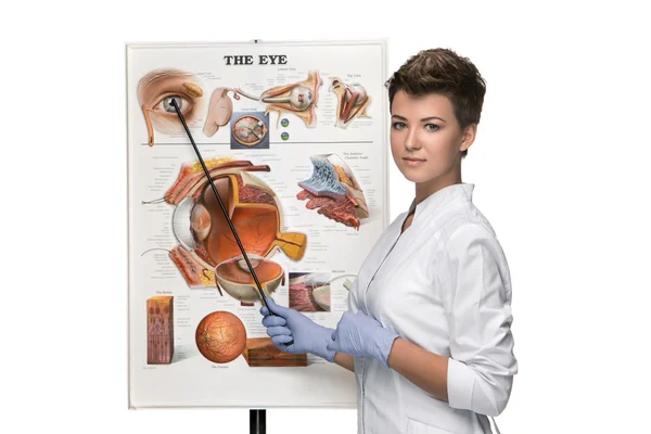 Optician or oculist woman telling about structure of the eye — Stock Photo, Image