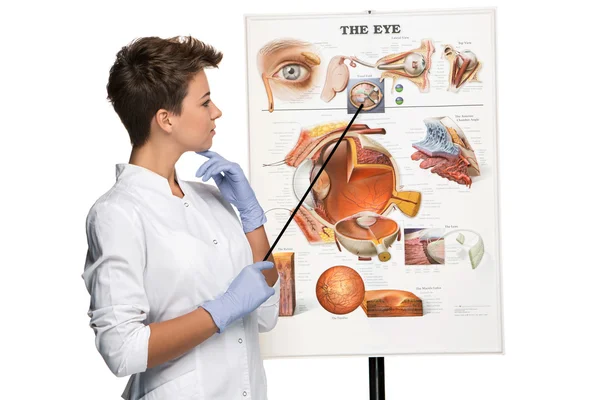 Optician or oculist woman telling about structure of the eye — Stock Photo, Image