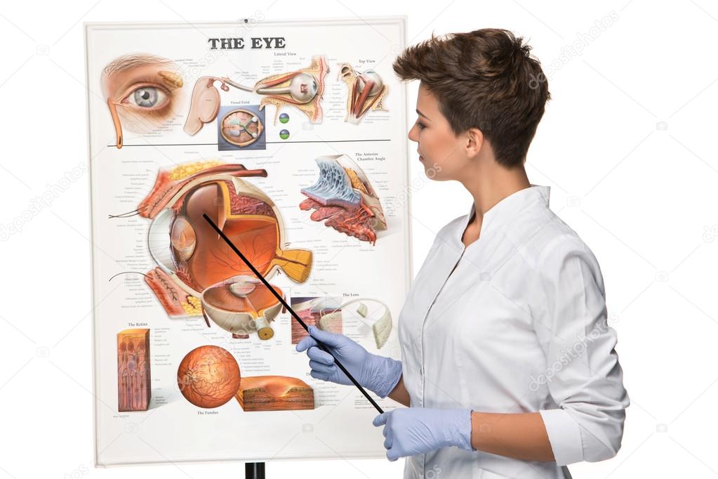Optician or oculist woman tells about structure of the eye