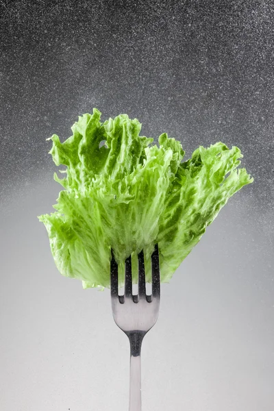 Gröna salladsblad på en gaffel — Stockfoto