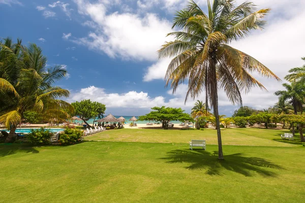 Tropical garden and  the ocean beach — Stock Photo, Image