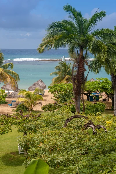 Tropisk trädgård och ocean beach — Stockfoto